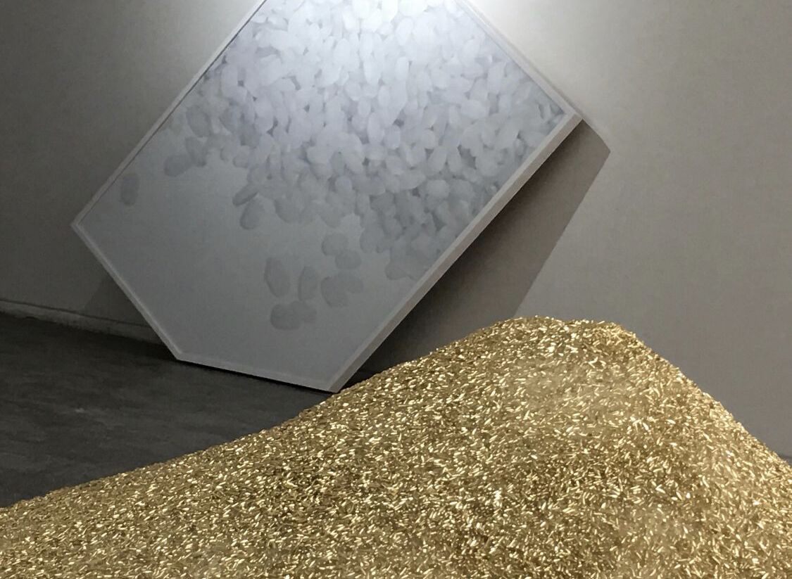 Golden Rice by José Cosme, golden rice installation in dialogue with a white framed work