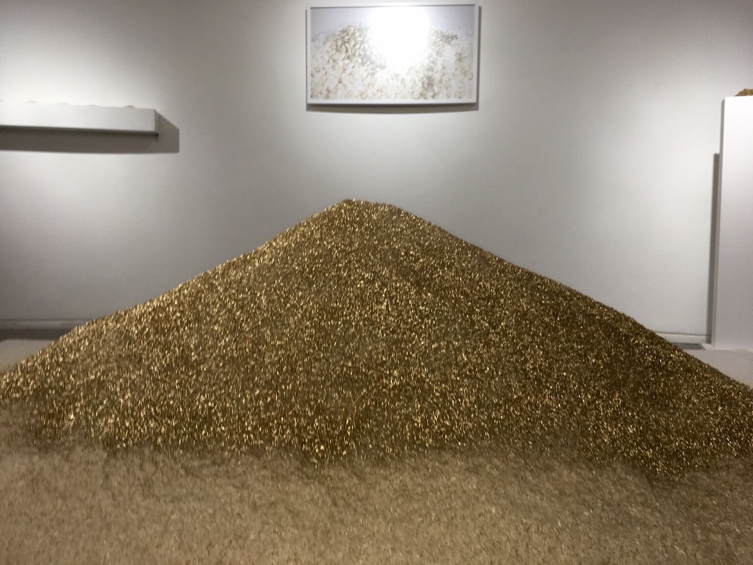 Golden Rice by José Cosme, monumental mound of golden rice installed in the gallery