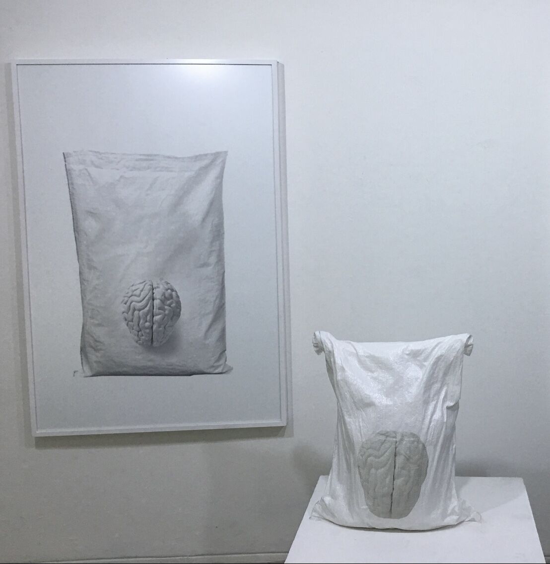 El Todo y la Nada by José Cosme, dialogue between a framed brain image and its sculptural form