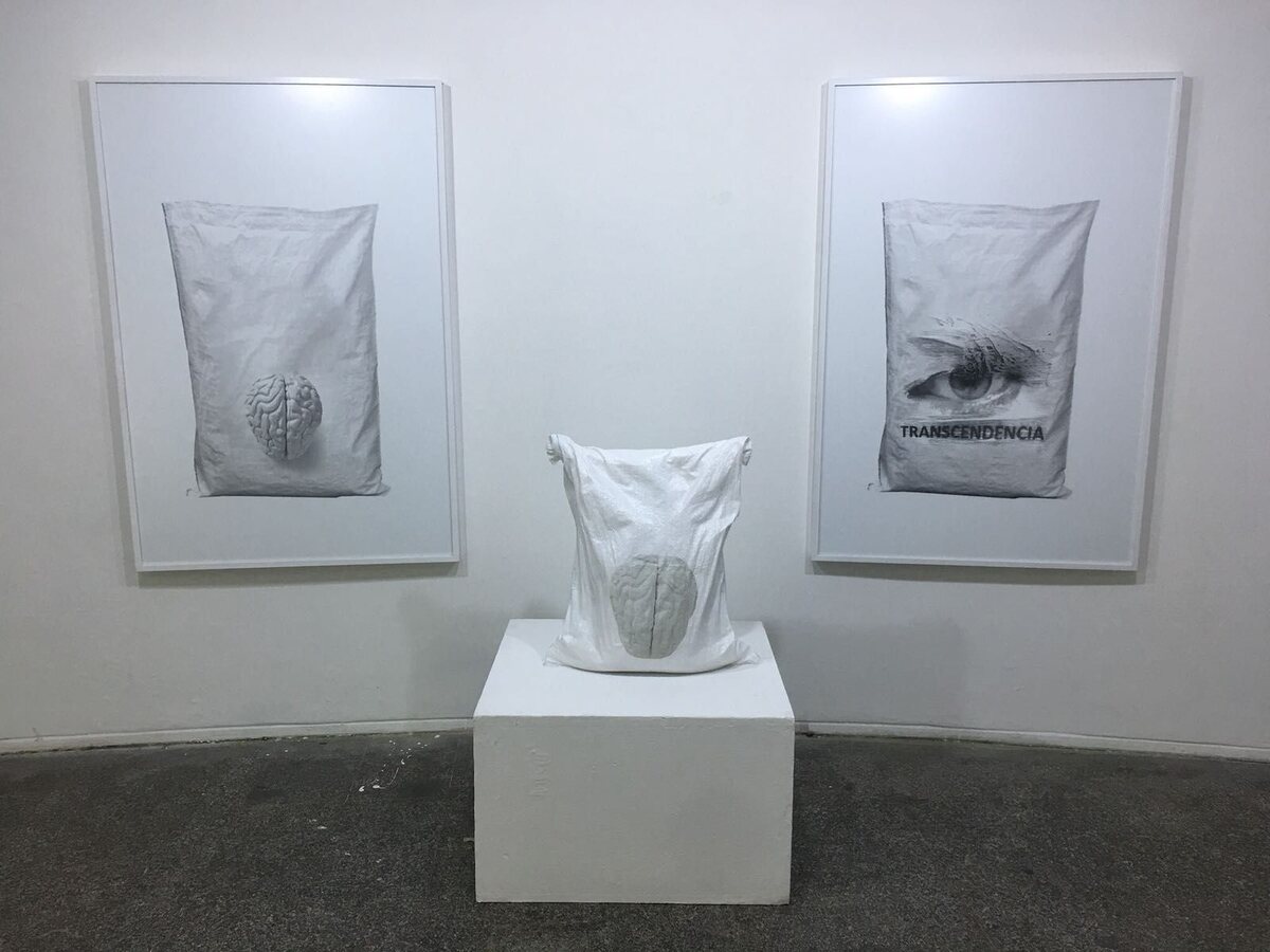 El Todo y la Nada by José Cosme, installation with a sculpted brain and Transcendencia image