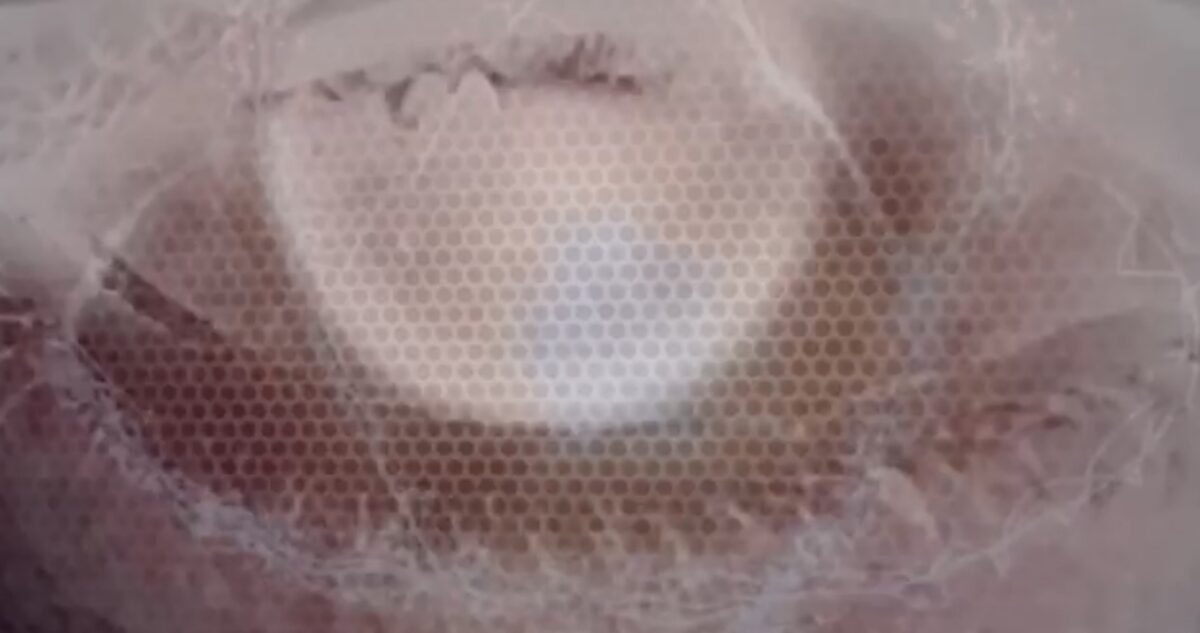 Transhuman Eye by José Cosme, projected eye detail