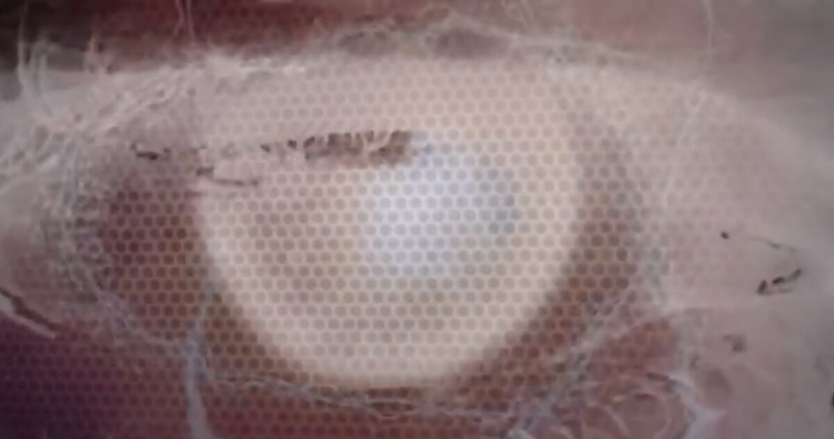 Transhuman Eye by José Cosme, technological surface and eye detail